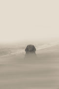 Lost in sand