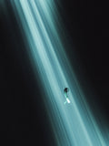 Into the Light